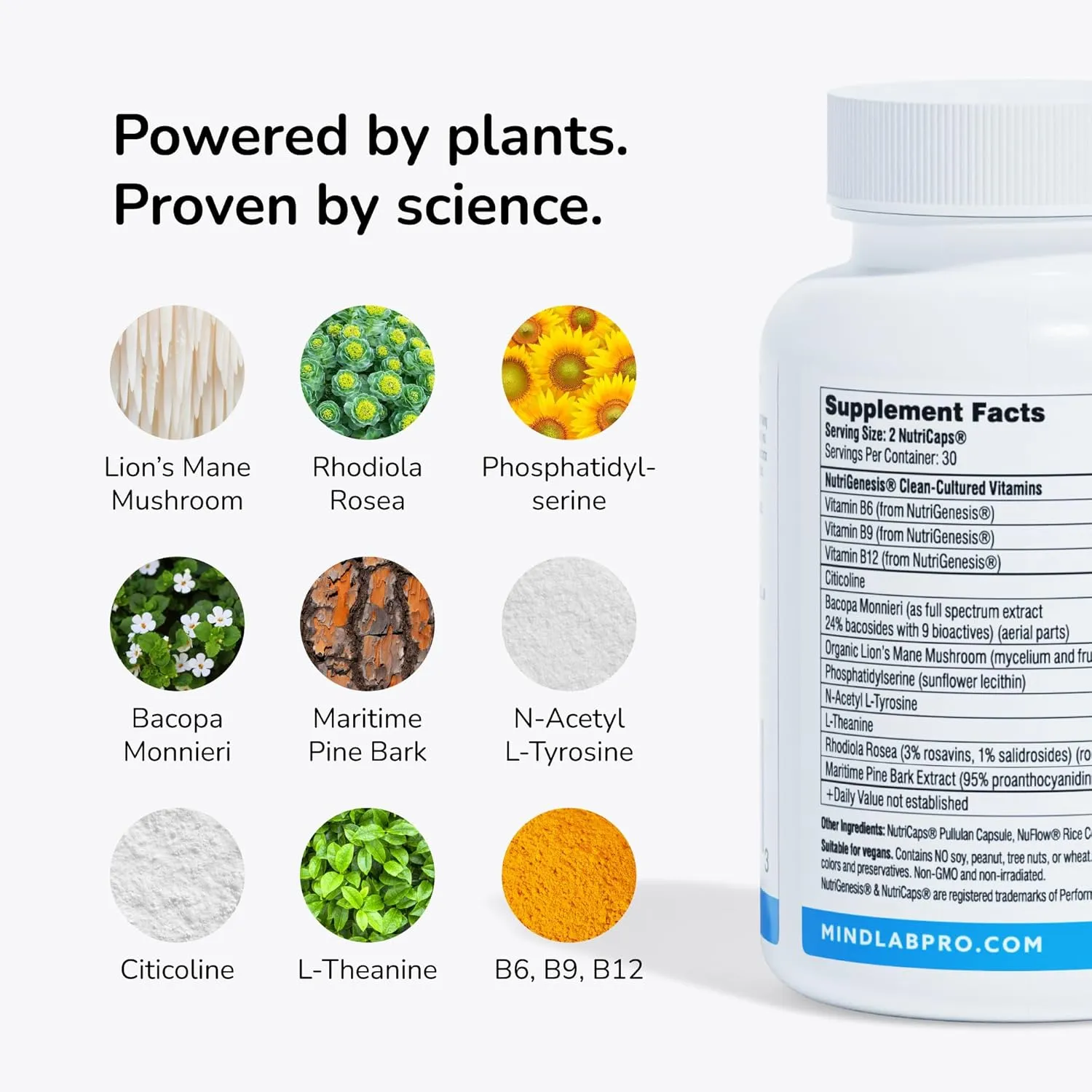 Mind Lab Pro® v4 Universal Nootropic™